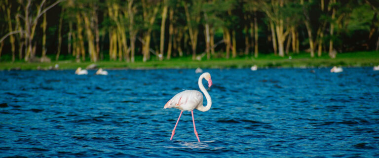 2 Day Lake Nakuru National Park