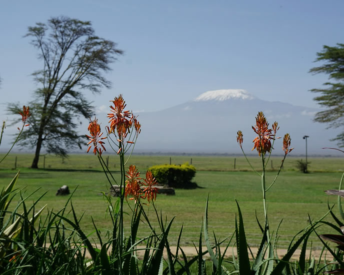 amboseli