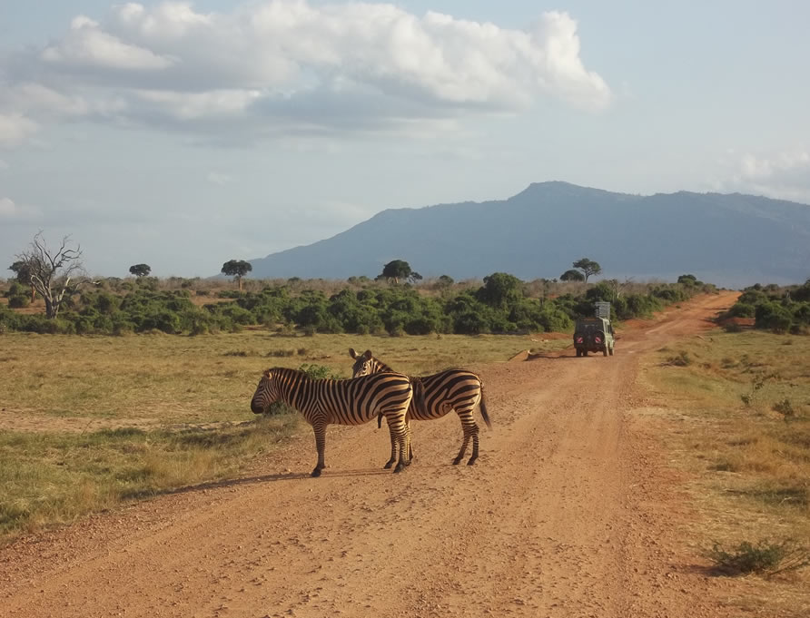 2 days Tsavo East and Taita Hills Santuary-1