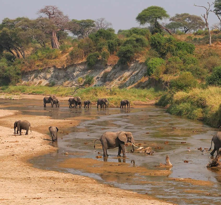 3 Days Lake Manyara & Tarangire National Park