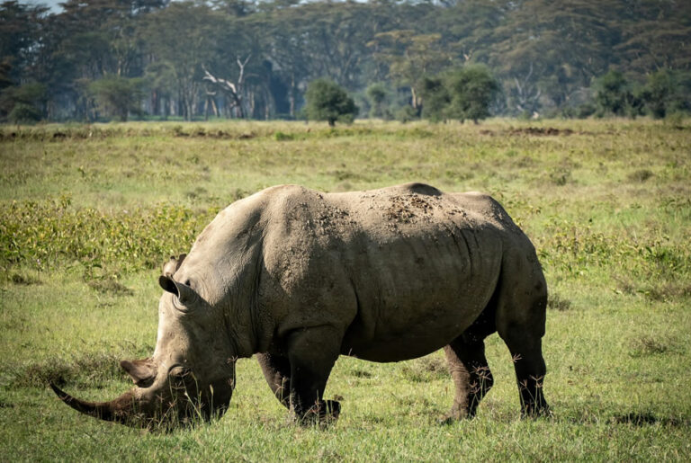 3 Days Samburu National Reserve Adventures