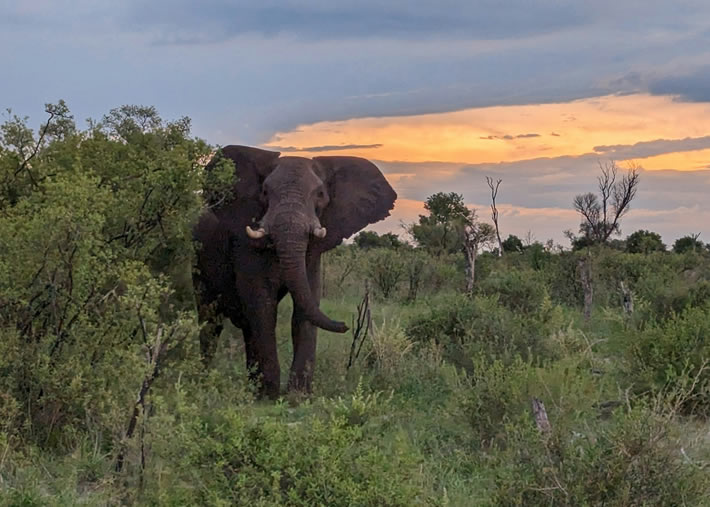 Hwange National Park