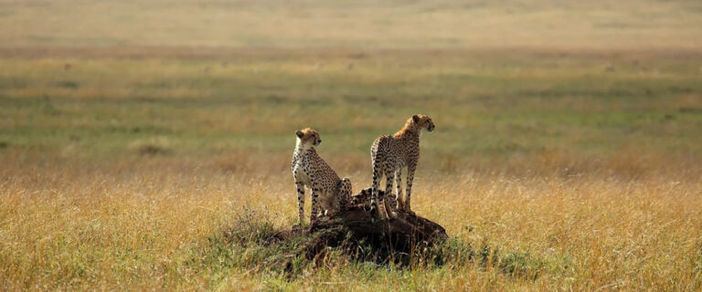 Matusadona National Park