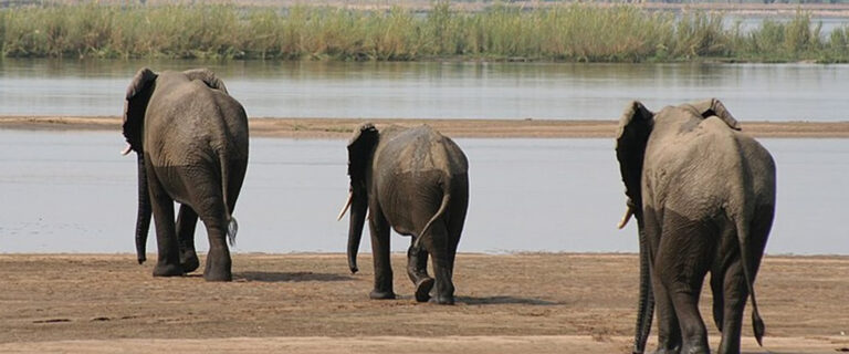 Zambezi National Park