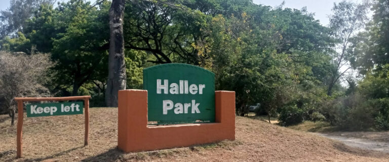 haller park