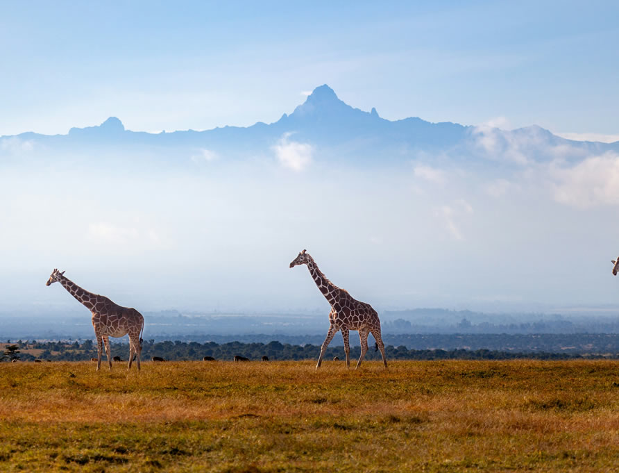 mt kenya2