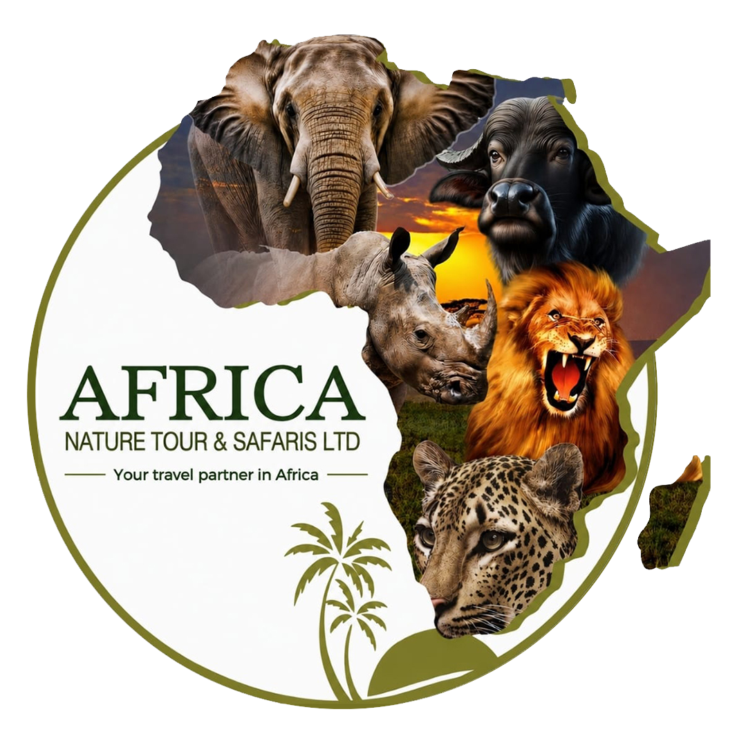 Africa Nature Safaris